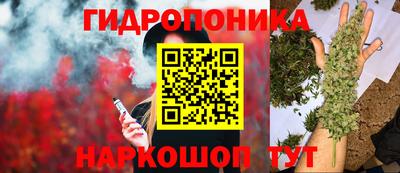 PSILOCYBIN Рузаевка