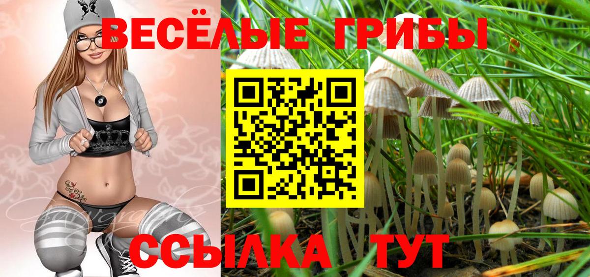 Алексеевка  Псилоцибиновые грибы прущие грибы  Вход с VPN  Галлюциногенные грибы GOLDEN TEACHER 